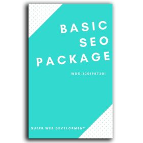 Basic Seo Package min