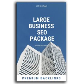 SEO PACKAGES for Large Business min