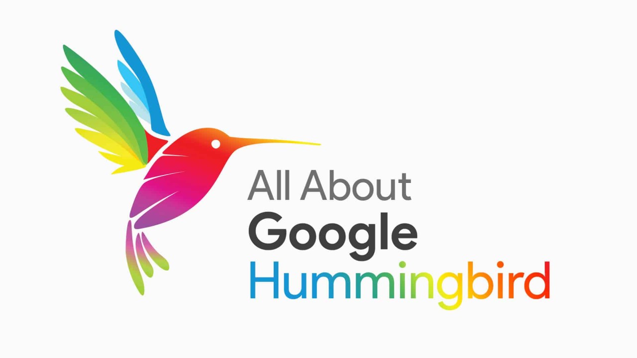 Hummingbird search algotithm