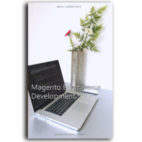 Magento Ecommerce Development1