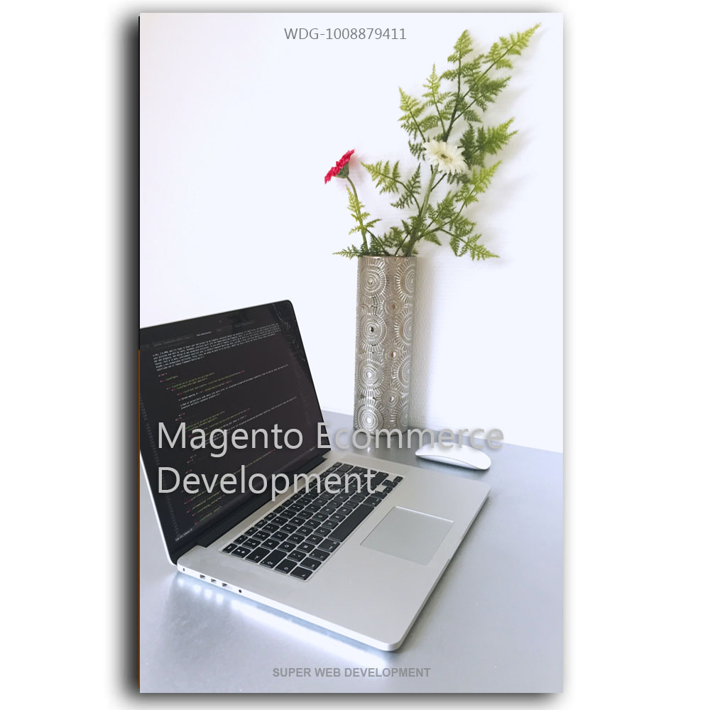 Magento Ecommerce Development