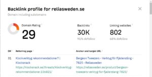 SEO company in Sweden