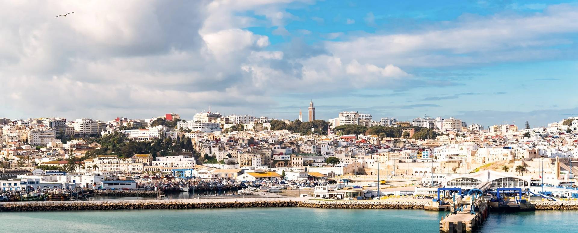 Seo Agency in Tangier