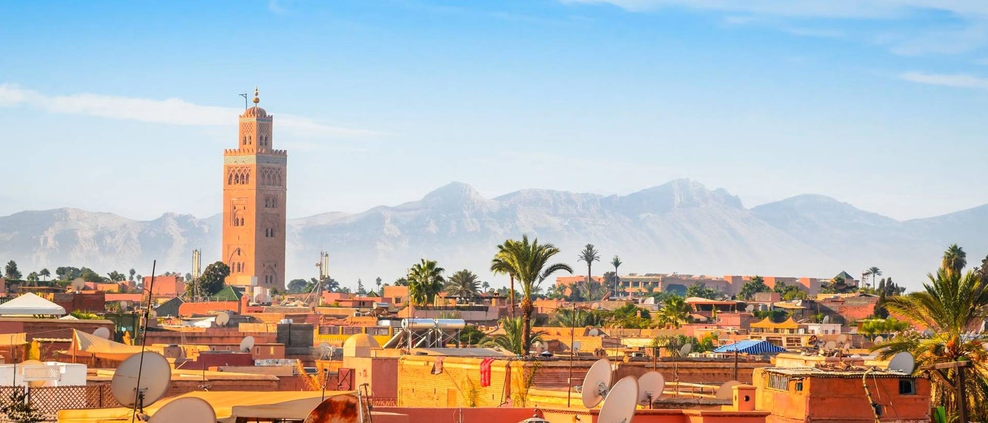 Seo Agency in Marrakech