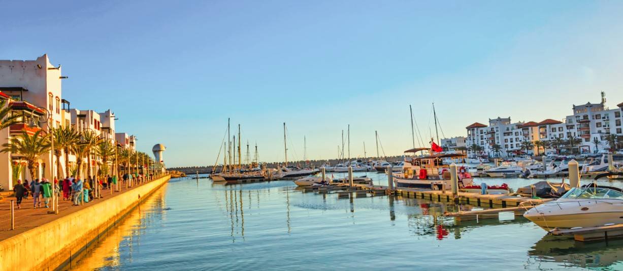 Seo Agency In Agadir