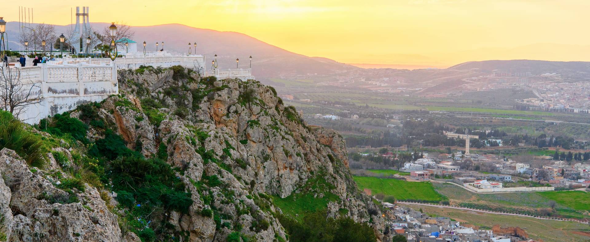 Seo Agency In Tlemcen