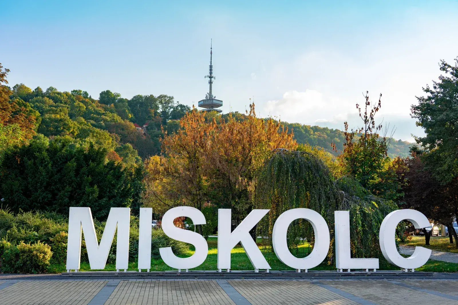 Seo Agency in Miskolc